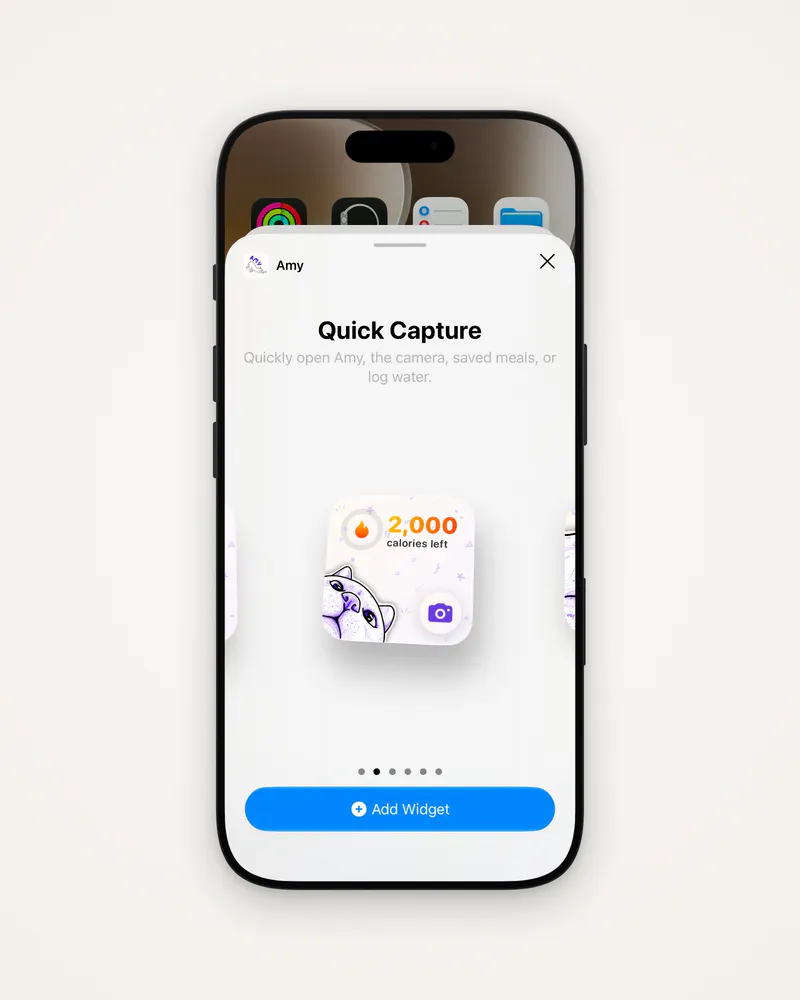Amy's Quick Capture widget in the iOS widget gallery
